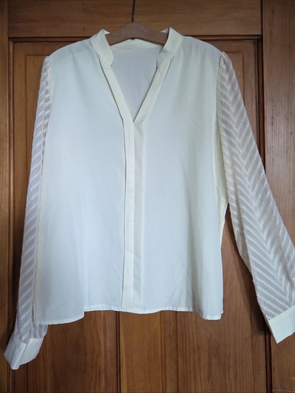 Cream V-Neck Long Sleeve Semi-Sheer Blouse